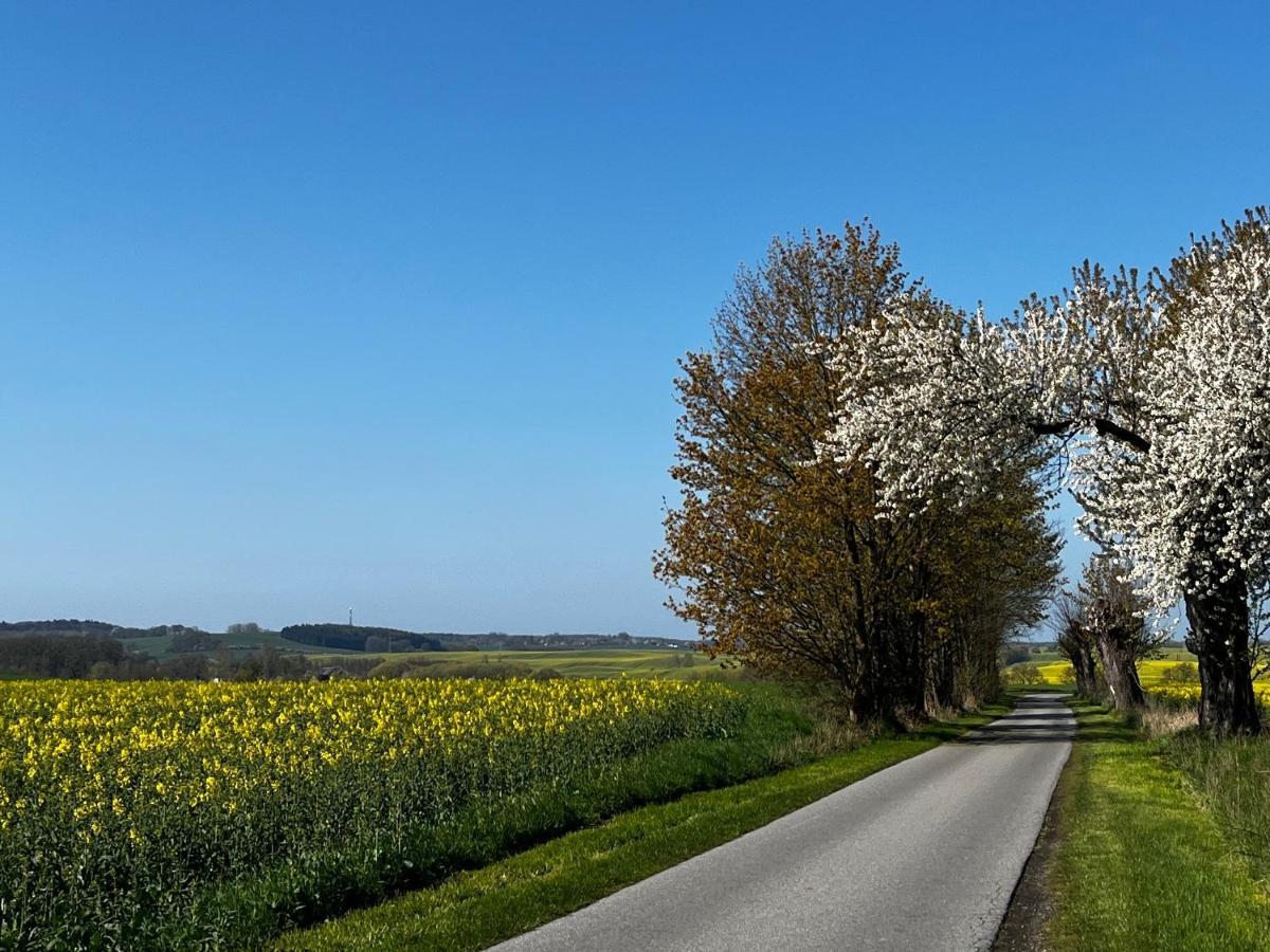 Gut Manderow An Der Ostsee Hohenkirchen  エクステリア 写真